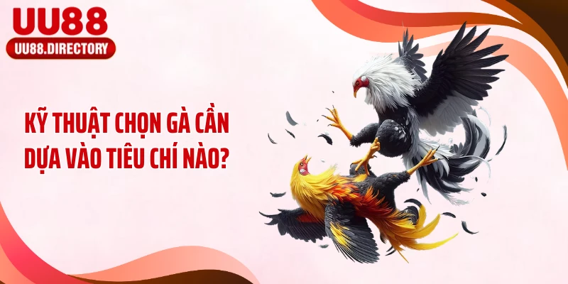 Kỹ thuật chọn gà cần dựa vào tiêu chí nào?