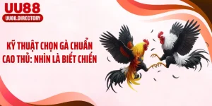 Kỹ Thuật Chọn Gà Chuẩn Cao Thủ: Nhìn Là Biết Chiến