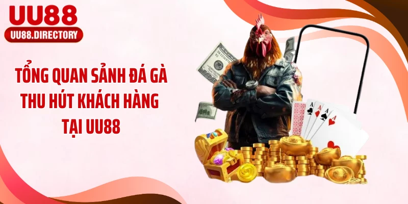 Tổng quan sảnh đá gà thu hút khách hàng tại UU88