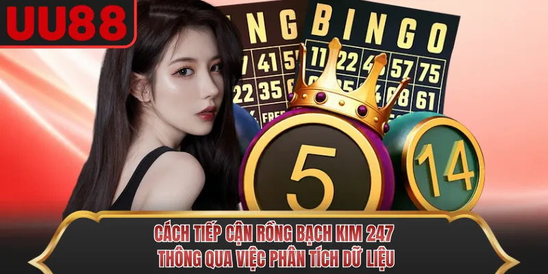 Cách tiếp cận rồng bạch kim 247 thông qua việc phân tích dữ liệu